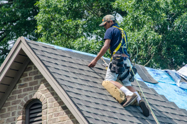 Professional Roofing Contractor in West Springfield, VA